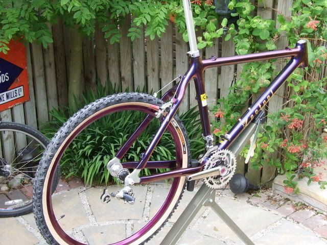 What Goes With Purple Retrobike